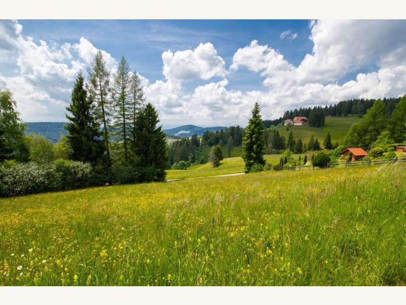 Grundstück in Völkermarkt - Bild 8