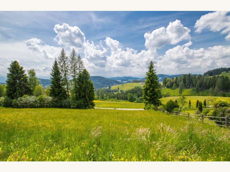 Grundstück in Völkermarkt - Bild 9