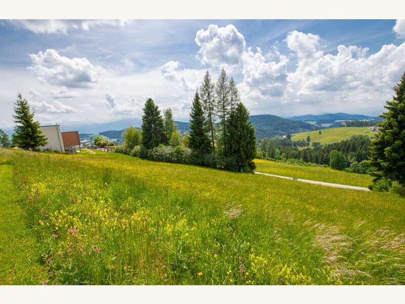 Grundstück in Völkermarkt - Bild 10