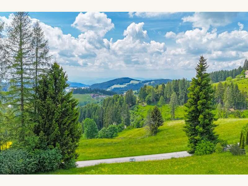 Grundstück in Völkermarkt - Bild 11