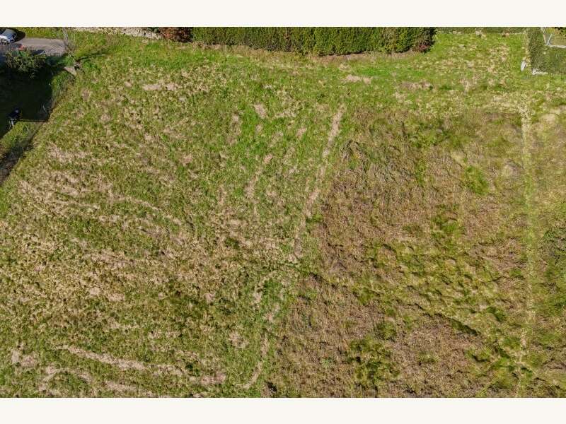 Grundstück in Liebenfels - Bild 5