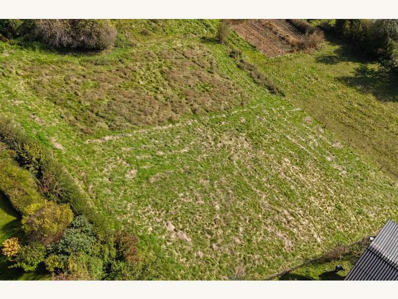 Grundstück in Liebenfels - Bild 7