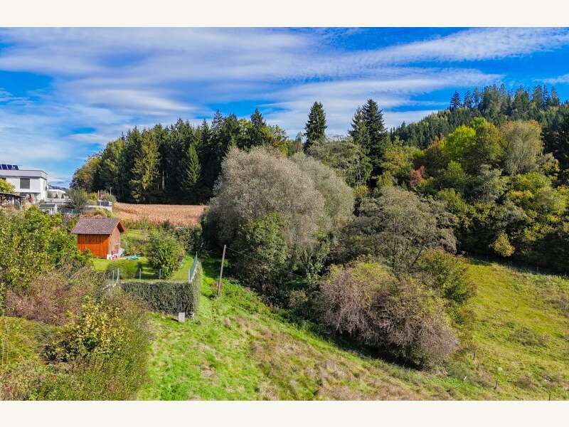 Grundstück in Liebenfels - Bild 9