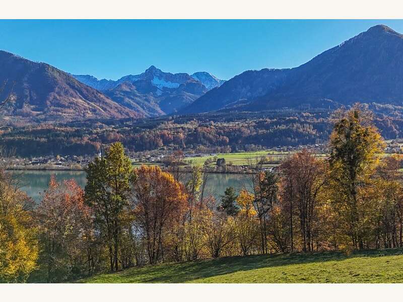 Grundstück in Ludmannsdorf - Bild 6