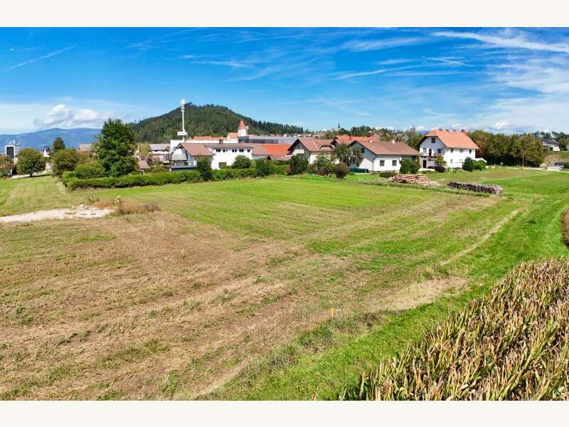 Grundstück in Eberndorf - Bild 5
