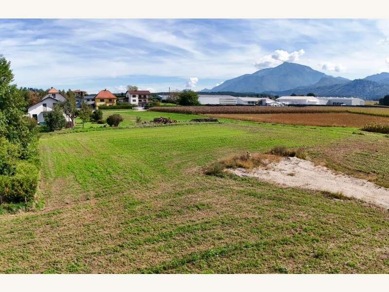Grundstück in Eberndorf - Bild 7