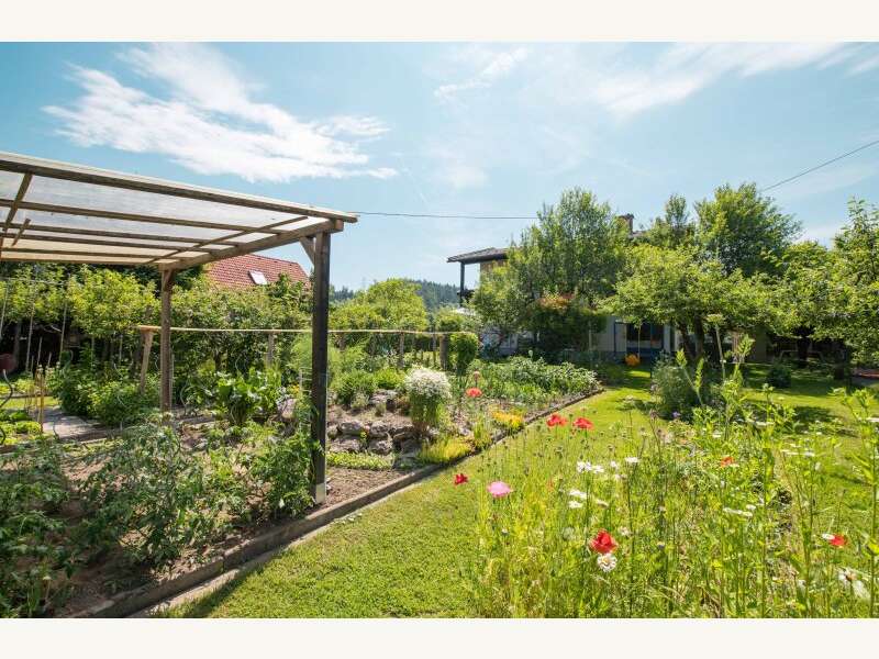 Haus in Völkermarkt - Bild 14