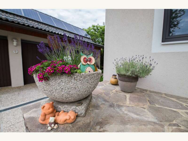 Haus in Völkermarkt - Bild 17