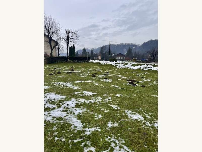 Baugrundstück in Sittersdorf - Bild 4 Baugrundstück in Sittersdorf - Bild 4